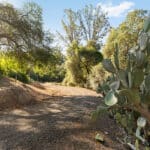 Photo 8 for Zocalo Ranch