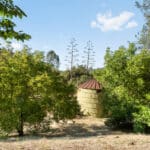 Photo 77 for Zocalo Ranch