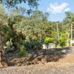 Photo 79 for Zocalo Ranch