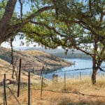 Photo 50 for Zocalo Ranch