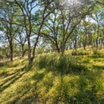 Photo 20 for Zocalo Ranch