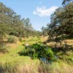 Photo 22 for Zocalo Ranch