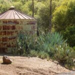 Photo 84 for Zocalo Ranch