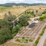 Photo 10 for Amador Flower Farm
