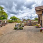 Photo 39 for Amador Flower Farm