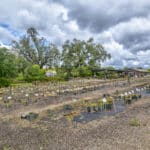 Photo 47 for Amador Flower Farm