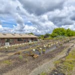 Photo 49 for Amador Flower Farm