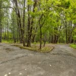 Photo 41 for Foresthill Divide