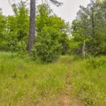 Photo 43 for Foresthill Divide