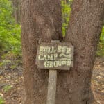 Photo 2 for Foresthill Divide