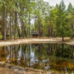 Photo 12 for Foresthill Divide