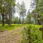 Photo 44 for Foresthill Divide