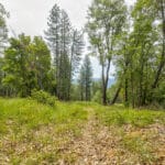 Photo 20 for Foresthill Divide