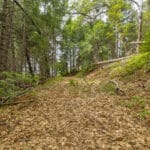 Photo 45 for Foresthill Divide