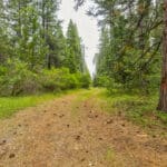 Photo 46 for Foresthill Divide
