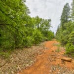 Photo 47 for Foresthill Divide
