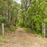 Photo 49 for Foresthill Divide