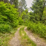 Photo 48 for Foresthill Divide