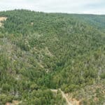 Photo 55 for Foresthill Divide