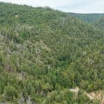 Photo 56 for Foresthill Divide