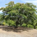 Photo 56 for Zocalo Ranch