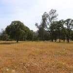 Photo 68 for Zocalo Ranch