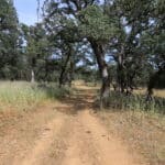 Photo 72 for Zocalo Ranch