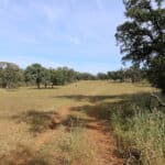 Photo 73 for Zocalo Ranch