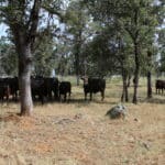 Photo 70 for Zocalo Ranch