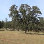 Photo 75 for Zocalo Ranch