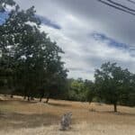 Photo 11 for Gibson Canyon/Solar Hills Lot