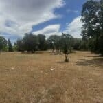 Photo 7 for Gibson Canyon/Solar Hills Lot