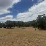 Photo 3 for Gibson Canyon/Solar Hills Lot