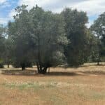 Photo 2 for Gibson Canyon/Solar Hills Lot