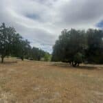 Photo 1 for Gibson Canyon/Solar Hills Lot