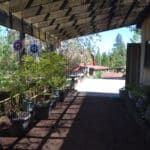 Photo 90 for Bald Eagle Ranch