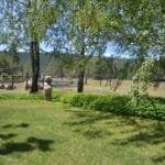 Photo 120 for Bald Eagle Ranch