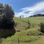 Photo 4 for Butte Mountain Acres
