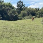 Photo 5 for Butte Mountain Acres