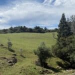 Photo 2 for Butte Mountain Acres