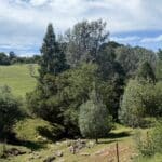 Photo 3 for Butte Mountain Acres