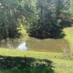Photo 1 for Butte Mountain Acres