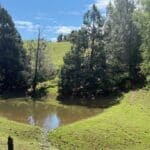 Photo 6 for Butte Mountain Acres
